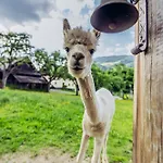Kreischberg 14b - Direkt Am Skilift *