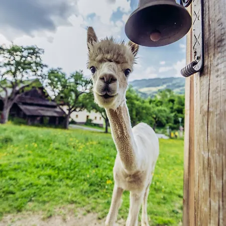 Kreischberg 14b - Direkt Am Skilift *