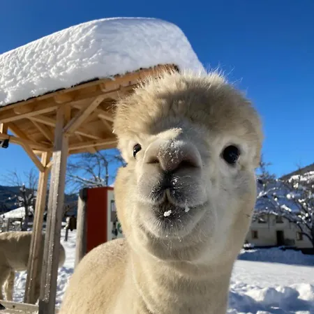 Chalet Kreischberg 14b - Direkt Am Skilift Sankt Lorenzen ob Murau