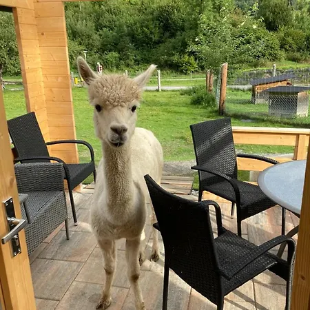 Kreischberg 14b - Direkt Am Skilift Chalet Sankt Lorenzen ob Murau