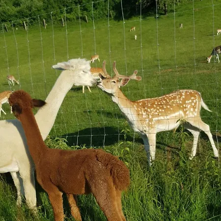 Kreischberg 14b - Direkt Am Skilift *