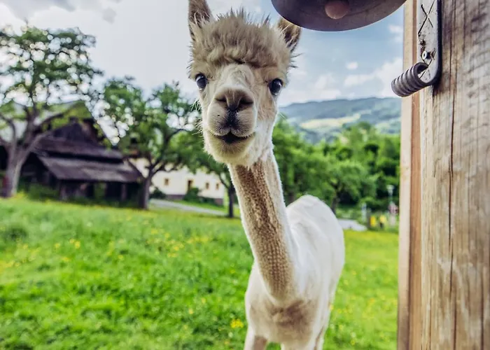 Kreischberg 14b - Direkt Am Skilift *