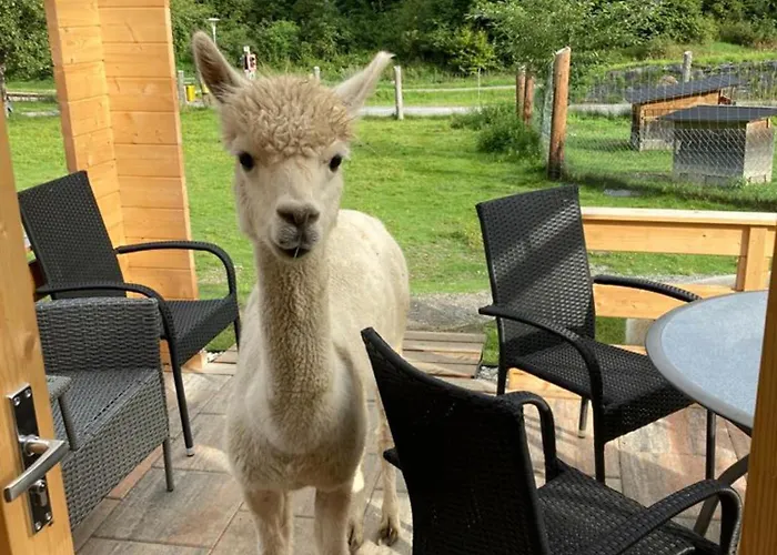 Kreischberg 14b - Direkt Am Skilift شاليه سانكت جورجين أوب موراو