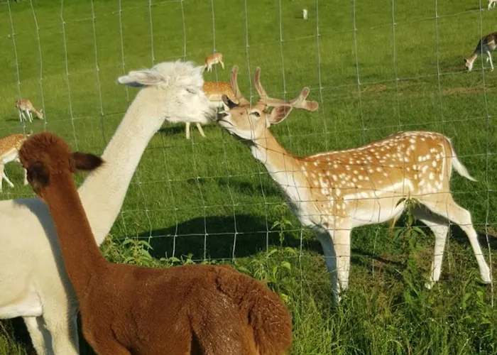 Kreischberg 14b - Direkt Am Skilift *